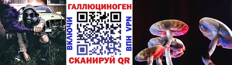 Псилоцибиновые грибы мухоморы  хочу наркоту  Фокино 